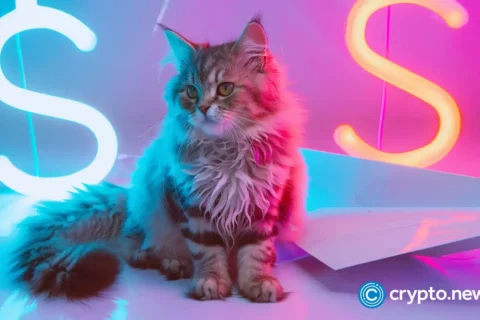 Popcat price rebounds as one X user cites the utility of meme coins