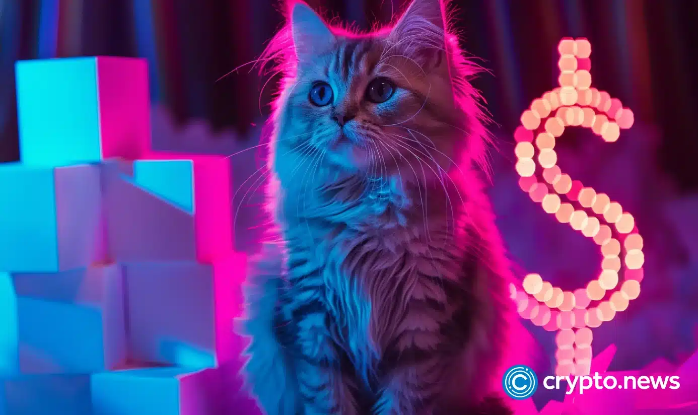 How is the Catizen related?