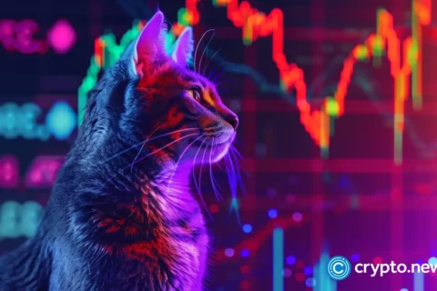 Popcat déjà vu: analyst models 5,000% surge to $40