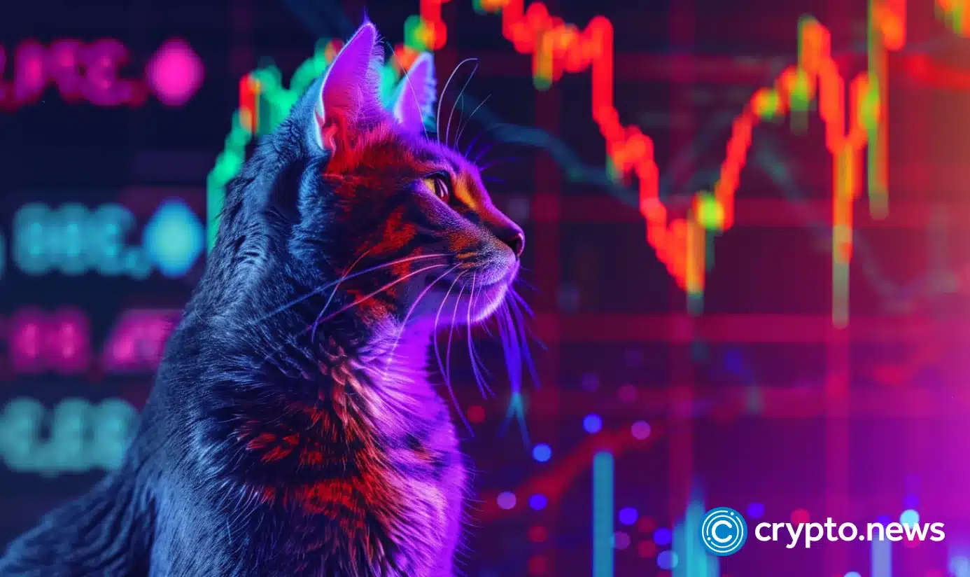 Popcat déjà vu: analyst models 5,000% surge to $40