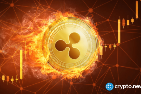 Ripple’s Chris Larsen leads $10m investment in Yellow Network