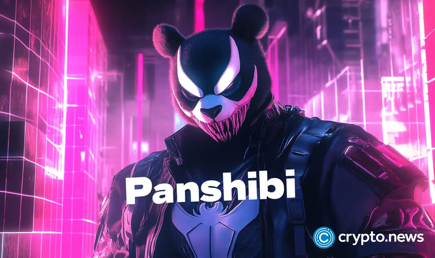 Shiba Inu’s future in December as Panshibi draws big investments in presale