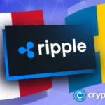 Ripple and SEC file joint motion to pause XRP lawsuit appeals