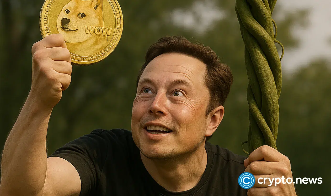 What Elon's purchase of Vine may mean for his social media and crypto empire