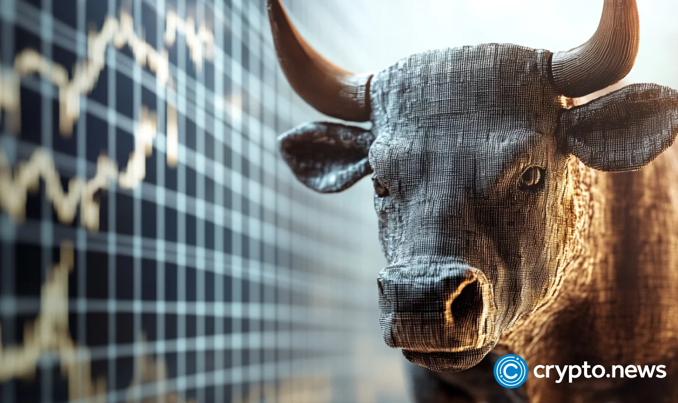why is the bull run happening?